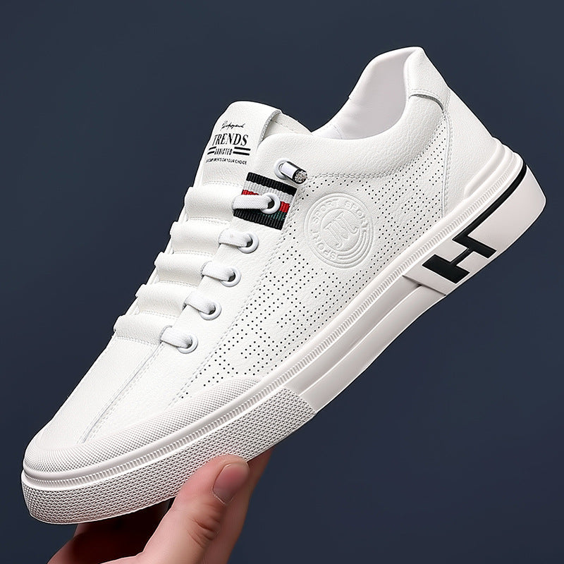 Levoire | Édition Limitée Chaussures De Loisirs Empire Coin