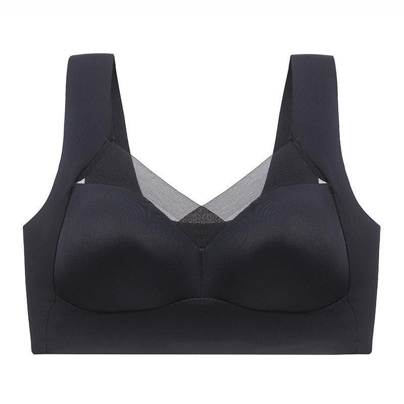 Levoire | Up-Bh Sans Armature