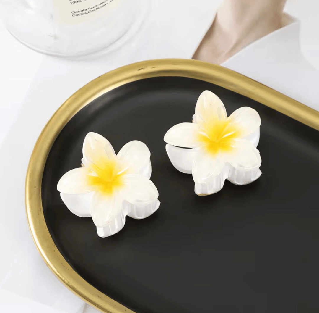 Levoire | Clips à cheveux fleuris tendance Blanc (Petit 2X)
