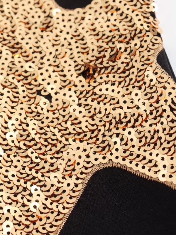 Levoire | Mode Irrévocable Brodé de Paillettes Robe Débardeur Court