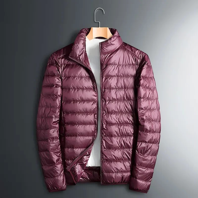 Levoire | Doudoune Pour Hommes Pour L'Hiver Marron