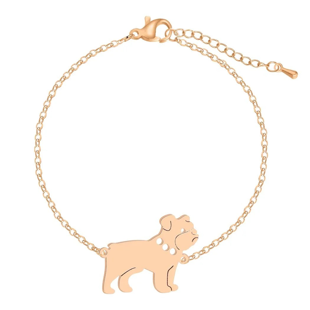 Levoire | Collier De Chien Attrayant