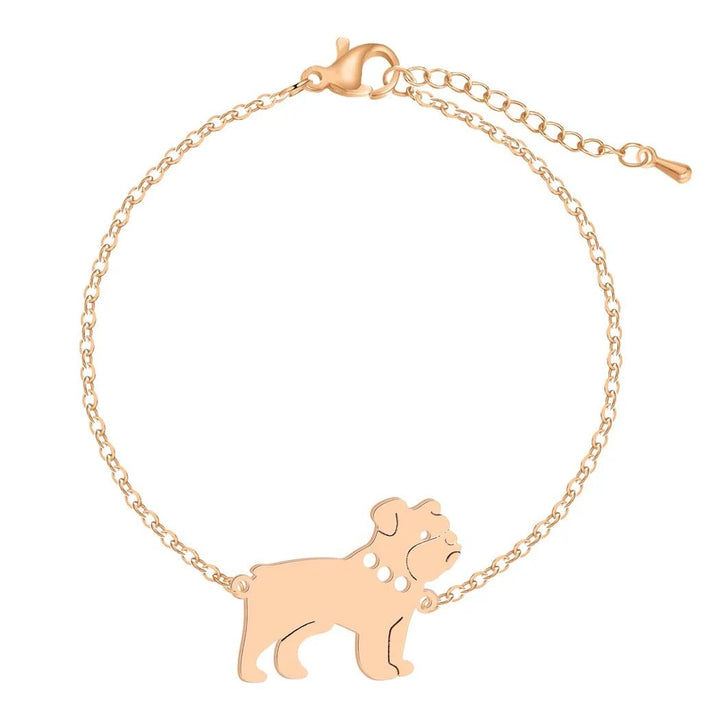 Levoire | Collier De Chien Attrayant