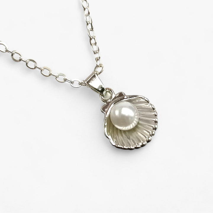 Levoire | Chaîne De Coquillages Muschel Hopea