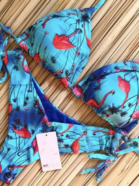 Levoire | Bikinis Satz Push Up